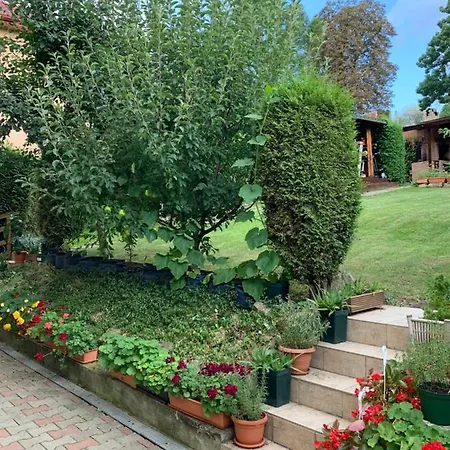 Dana House In Central * كلوج-نابوكا